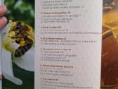 Praktinė bitininkystė - nuotraukos Nr. 2