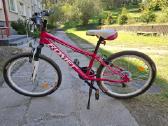 Parduodamas dviratis Romet Jolene 2019 Alu 24
