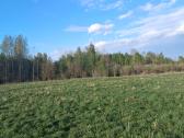 Žemės sklypas - nuotraukos Nr. 2