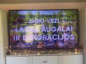 „Parduodamas 65 (164 cm) Philips Smart TV