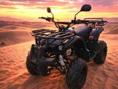 Grizzly 130cc - Pristatymas per 3h į namus