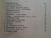 K. Gineitis. Amerika ir Amerikos lietuviai. 1925 - nuotraukos Nr. 3