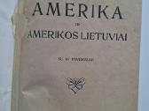 K. Gineitis. Amerika ir Amerikos lietuviai. 1925