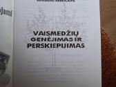 Vaismedžių genėjimas ir perskiepijimas - nuotraukos Nr. 2