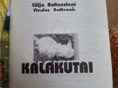 Kalakutai - nuotraukos Nr. 2