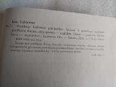 Hamletas baltomis pirštinėmis - nuotraukos Nr. 3
