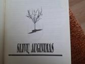 Slyvų auginimas - nuotraukos Nr. 2