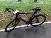 Trek Domane 2