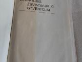 Žuvintas ir jo gyventojai - nuotraukos Nr. 2
