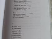 Nuo šilagėlių iki gruodo - nuotraukos Nr. 4