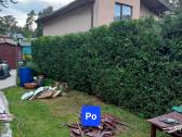 Žolės pjovimas Tujų karpymas Langų valymas - nuotraukos Nr. 6