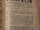 Šv.pranciškaus varpelis - nuotraukos Nr. 10