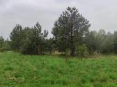 Sklypas su namo projektu ir statybos leidimu - nuotraukos Nr. 9