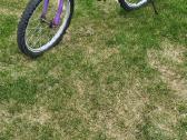 Pony BMX vienbėgis dviratis vaikams -35€ - nuotraukos Nr. 4