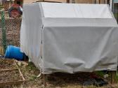 Neptun dviašės priekabos tentas