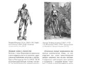 Morfo. Anatomija dlja xudozhnikov - nuotraukos Nr. 6