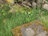 Pamatiniai blokai 2406040 - nuotraukos Nr. 3