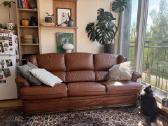 Odinė vintažinė trivietė sofa