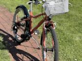 Dviratis Riverside 500 - nuotraukos Nr. 2