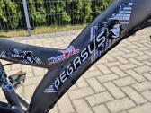 Pegasus Avanti berniukui kokybiškas aliuminis - nuotraukos Nr. 5