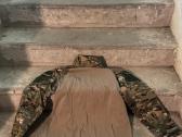 Multicam apranga airsoft - nuotraukos Nr. 5