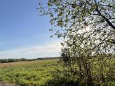 Parduodamas sklypas 0,54 lazdininkai šalia misko - nuotraukos Nr. 5
