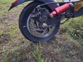 Modelis:bozon Zx-6 - nuotraukos Nr. 7