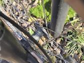 Nemirštantis Tankas MTB cromo reynolds - nuotraukos Nr. 11