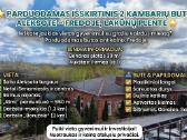 Parduodamas butas Aleksote