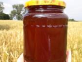 Medus bičių produktai - nuotraukos Nr. 4