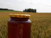 Medus bičių produktai - nuotraukos Nr. 5
