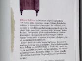 Senasis testamentas. Skaitant Šv Raštą. Apašt Paul - nuotraukos Nr. 13