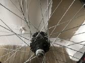 Wtp BMX Dviratis + Freecoaster We the people“ - nuotraukos Nr. 10