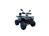 Benzininis keturratis XTR Forrest 125cc - nuotraukos Nr. 2