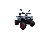 Benzininis keturratis XTR Forrest 125cc - nuotraukos Nr. 3