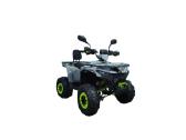 Benzininis keturratis XTR Forrest 125cc - nuotraukos Nr. 5