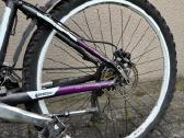 Dviratis Athena Xc3sport - nuotraukos Nr. 6