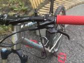 Titaninis MTB dviratis - nuotraukos Nr. 7