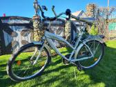 Panther Venomous Beach Cruiser moteriškas dviratis