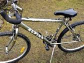 Alpina dviratukas - nuotraukos Nr. 2