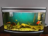 220 l panoraminis akvariumas