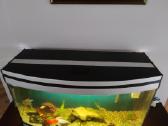 220 l panoraminis akvariumas - nuotraukos Nr. 3