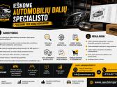 Reikalingas Detalistas (Automobilių Detalių Paiešk