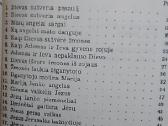 Tėve mūsų. Tikybos vadovėlis - nuotraukos Nr. 7