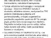 Treniruočių batutas - nuotraukos Nr. 5