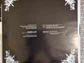 Mono - New York Soundtracks / Vinyl Lp - nuotraukos Nr. 4