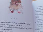 Dvi knygutės - nuotraukos Nr. 6