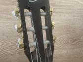 Gitara - nuotraukos Nr. 3