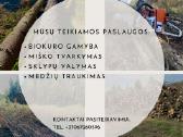 Apleistų teritorijų tvarkymas