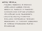 Apleistų teritorijų tvarkymas - nuotraukos Nr. 4